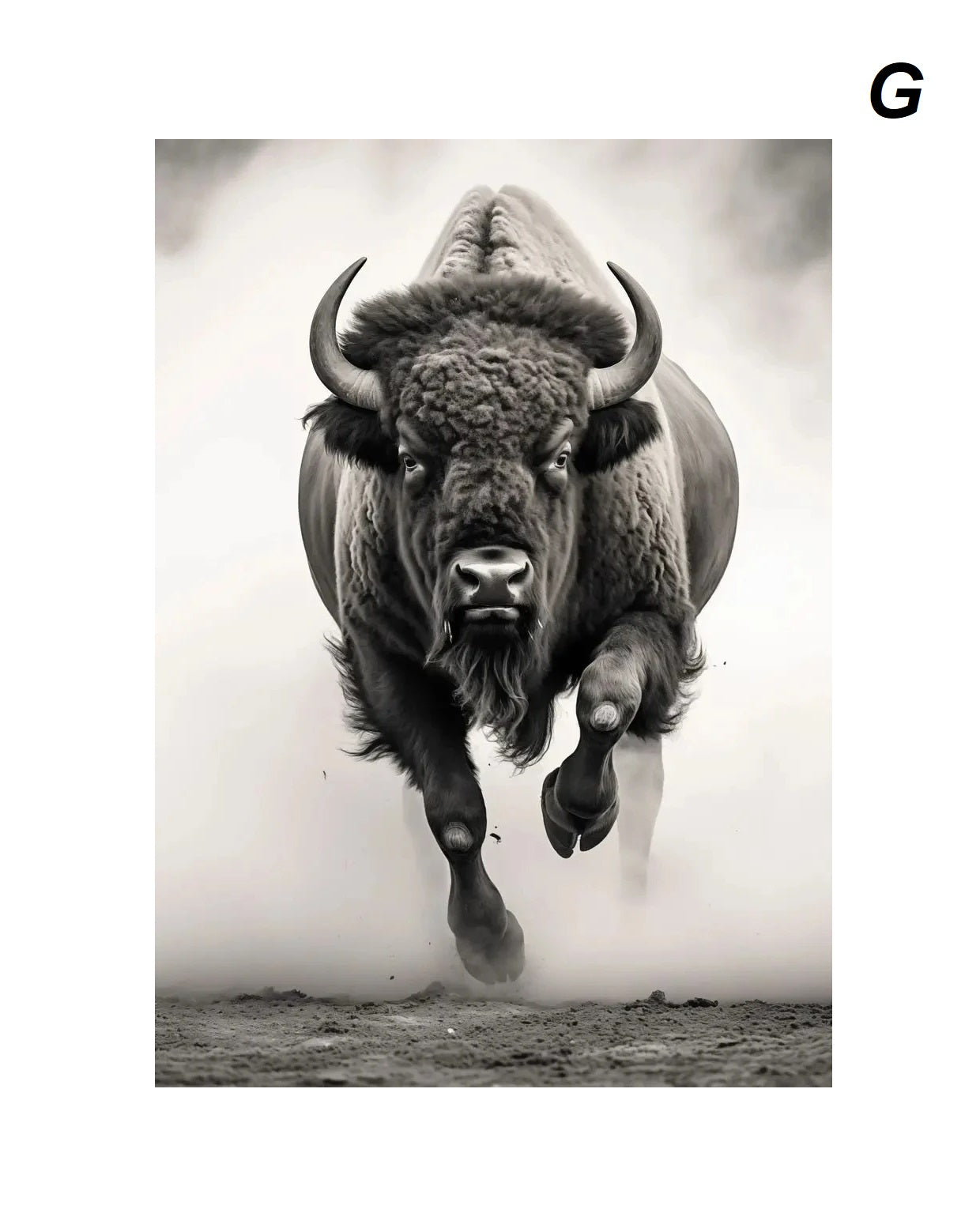 Black And White Artworks Wild Animal Canvas Prints Tiger Elephant Deer Rhino Poster For Modern Loft Living Room Office Décor