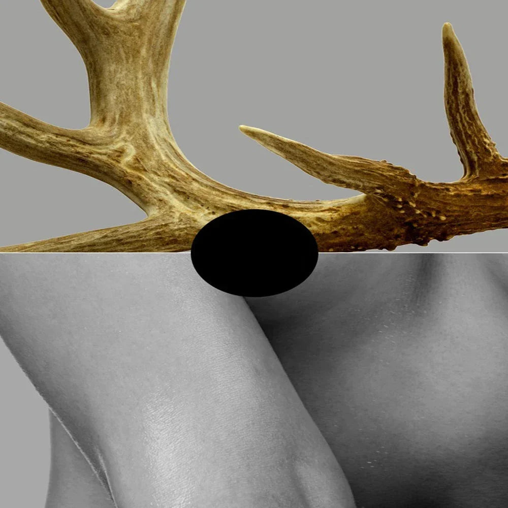 Black White Golden Antlered Girl Wall Art Canvas Prints For Modern Living Room Bedroom Studio Home Decor