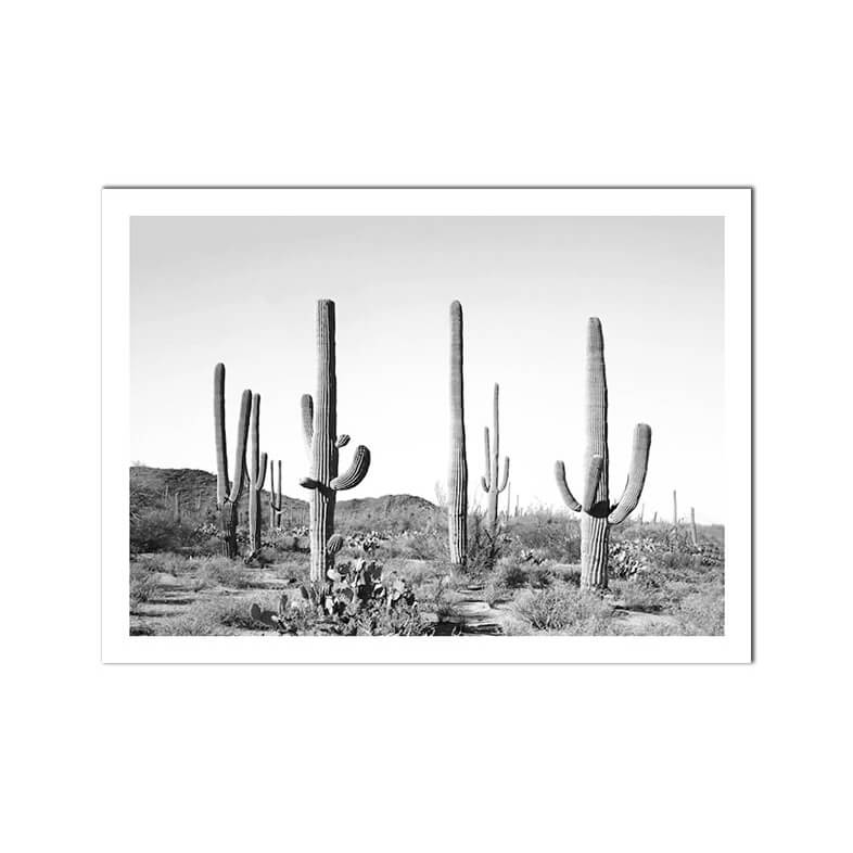 Scottish Highland Cattle Cactus Canvas Prints | Black and White Animal Plant Poster Nordic Wall Art Pictures for Living Room Modern Décor