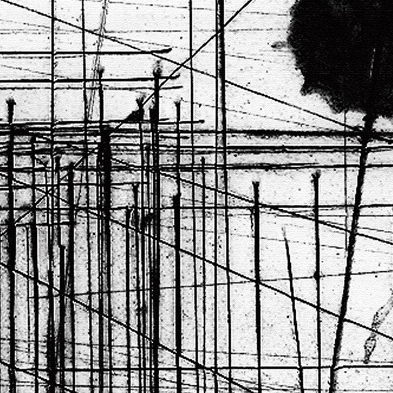 Black Lines Mural Wallpaper (SqM)