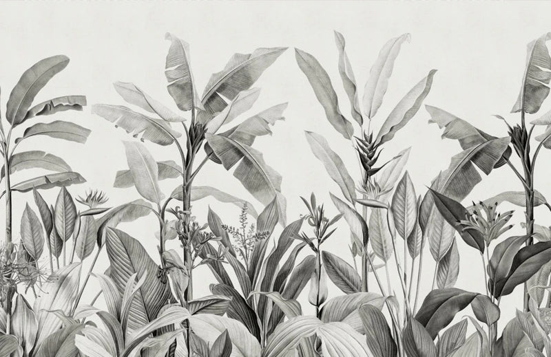 Black and White Minimalist Tropical Mural Wallpaper (SqM)