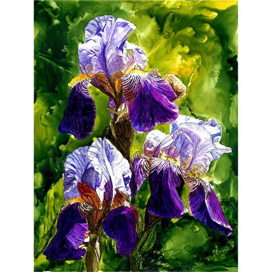 DIY Paint By Numbers -  Violet Irises Painting Canvas