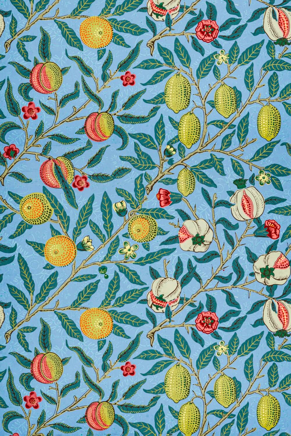 Four Fruits Mural Wallpaper (SqM)