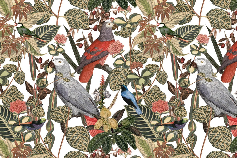 Jungle Parrots Mural Wallpaper (SqM)