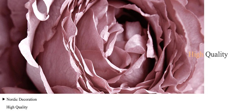 Nordic Style Pink Roses Canvas Print