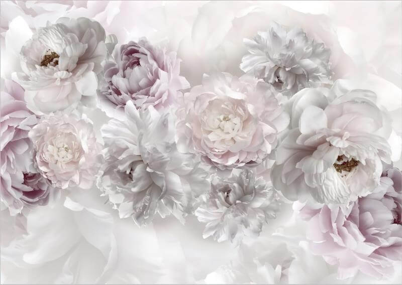 Pastel Large Peonies Mural Wallpaper (SqM)