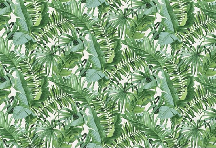 Rainforest Herbarium Wall Mural (SqM)