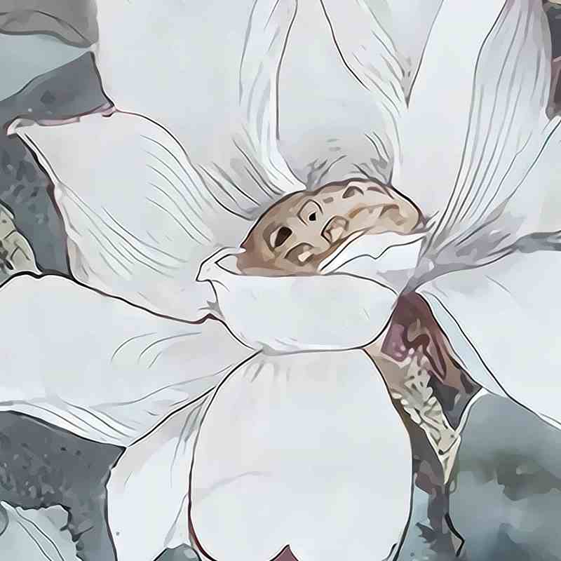 Pastel Lotus Mural Wallpaper (SqM)