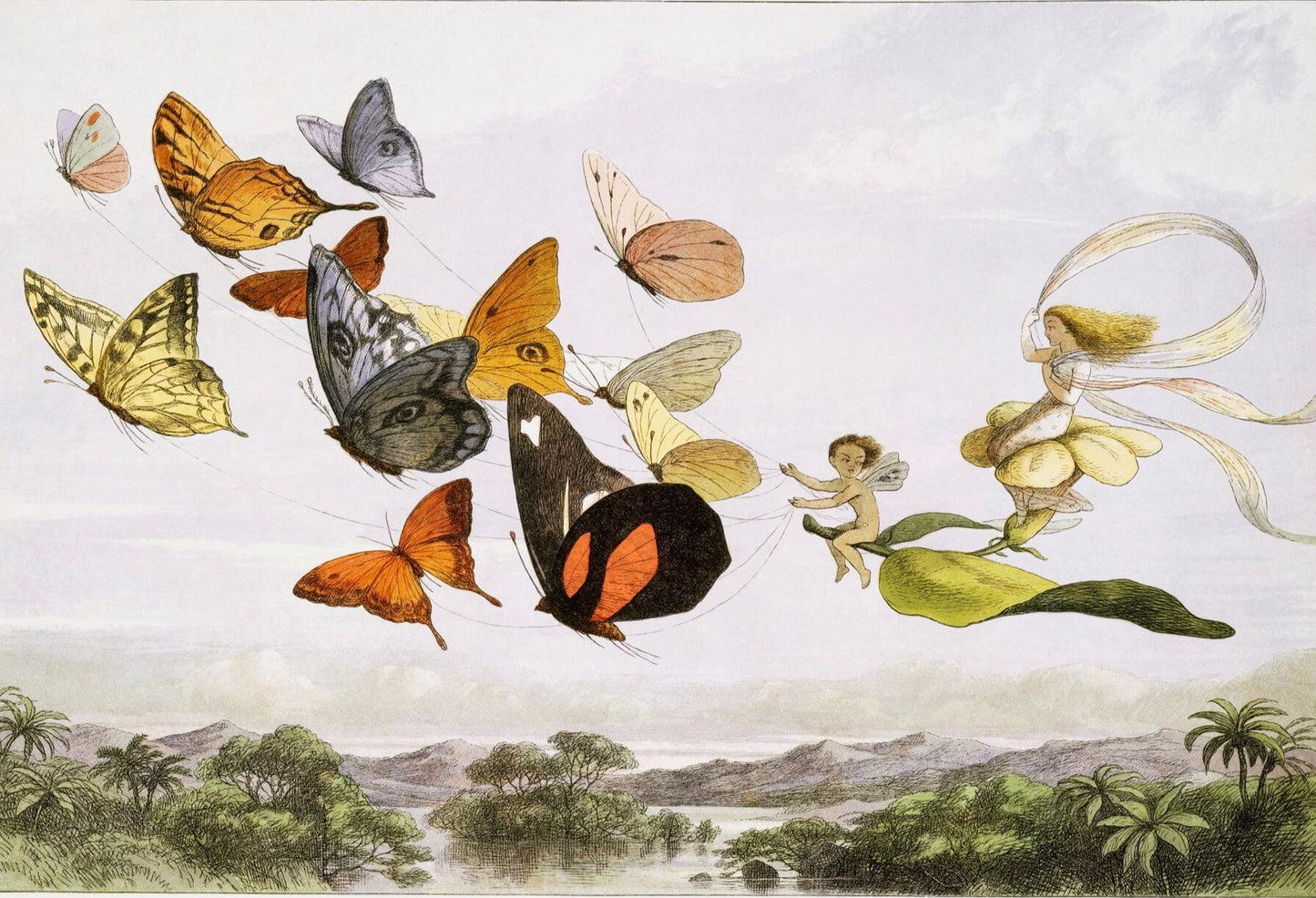 The Queen of Butterflies Mural Wallpaper (SqM)