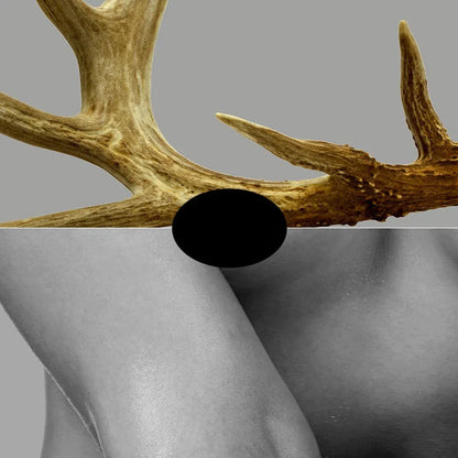 Black White Golden Antlered Girl Wall Art Canvas Prints For Modern Living Room Bedroom Studio Home Decor