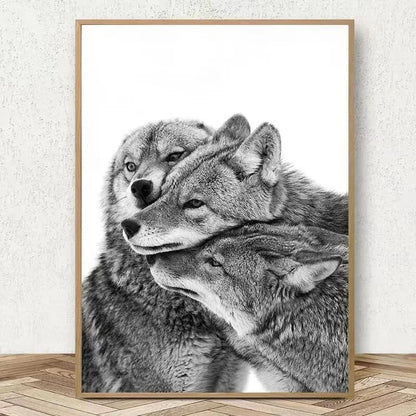 Three grey wolves nuzzling each other affectionately. Black and white image