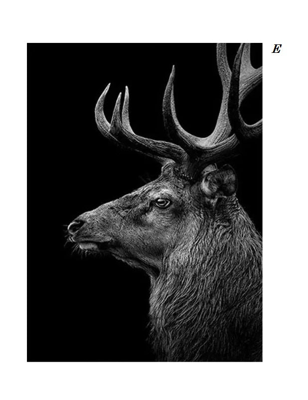 Black and White Animals Photo Canvas Prints Nordic Minimalist Wall Art Lion Tiger Elk Jaguar Wilderness Posters For Modern Living Room Bedroom Décor