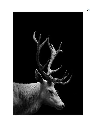 Black and White Animals Photo Canvas Prints Nordic Minimalist Wall Art Lion Tiger Elk Jaguar Wilderness Posters For Modern Living Room Bedroom Décor