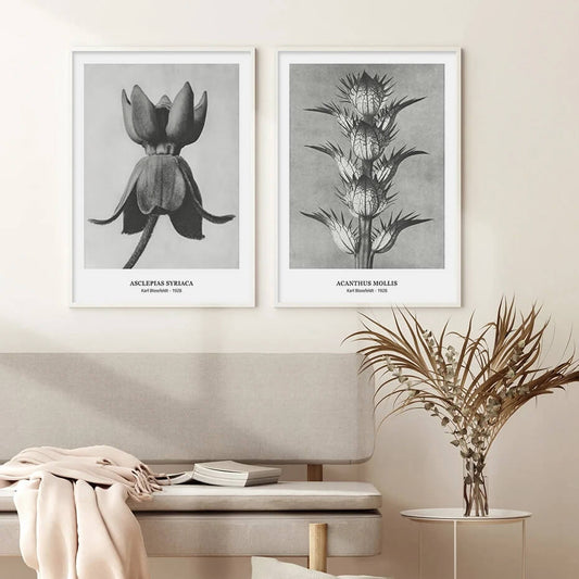 Botanical Black White Vintage Flowers Canvas Prints Wall Art Floral Pictures For Living Room Dining Room Wall Décor