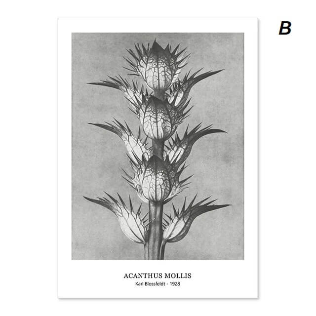 Botanical Black White Vintage Flowers Canvas Prints Wall Art Floral Pictures For Living Room Dining Room Wall Décor