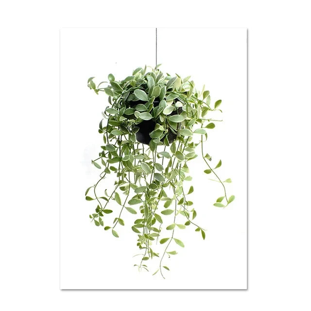 Eucalyptus Tropical Green Botany Wall Art Canvas Prints For Living Room Kitchen Dining Room Home Decor