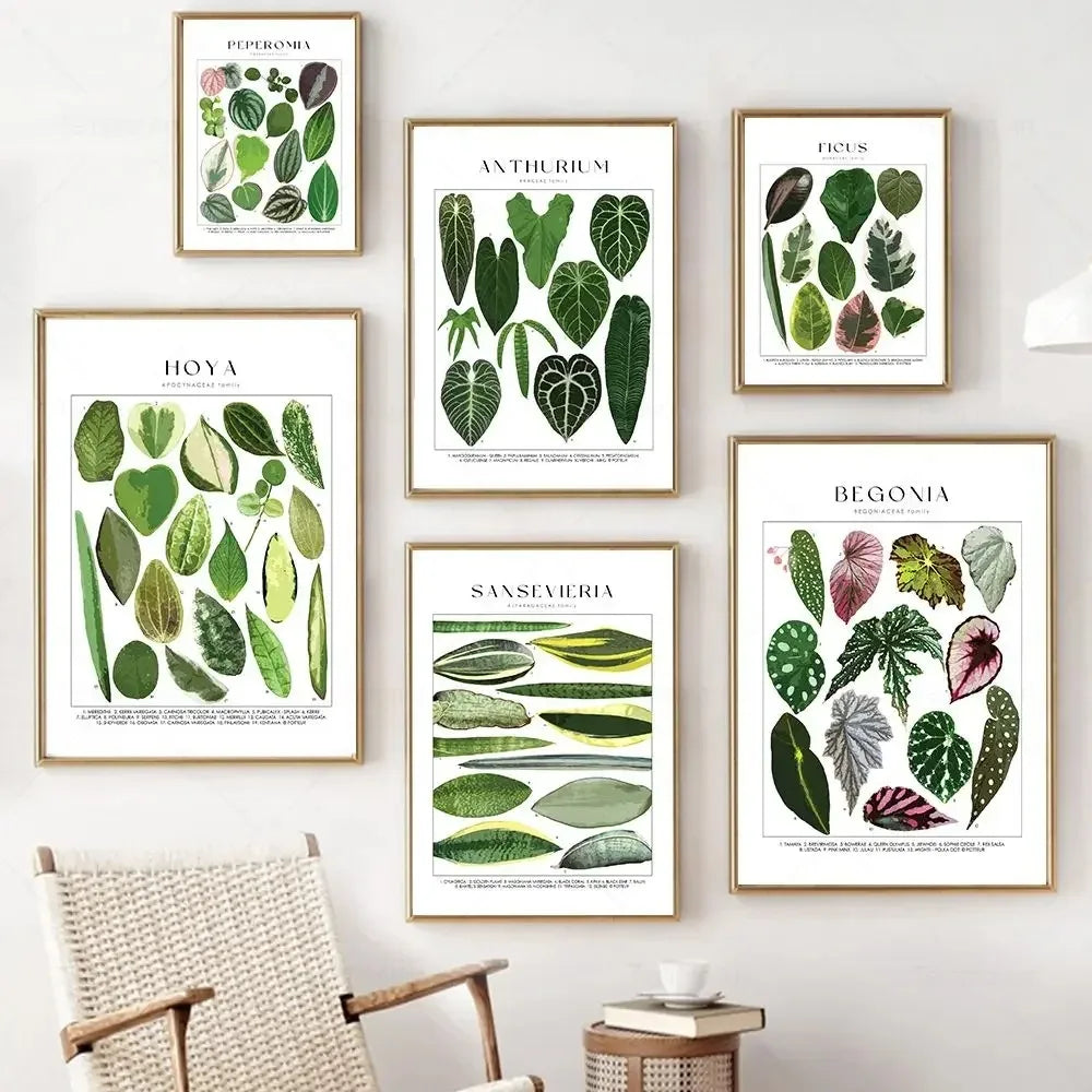 Botanical Specimen Posters Green Leaves Wall Art Canvas Prints For Kitchen Dining Room Living Room Decor
