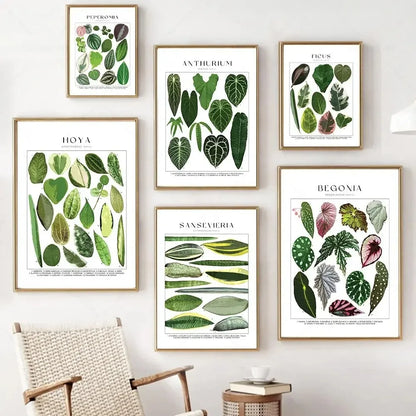 Botanical Specimen Posters Green Leaves Wall Art Canvas Prints For Kitchen Dining Room Living Room Decor