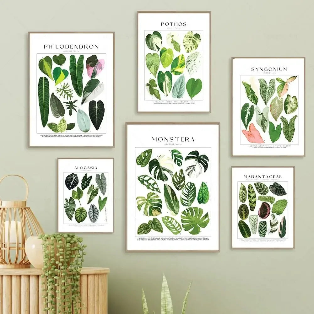 Botanical Specimen Posters Green Leaves Wall Art Canvas Prints For Kitchen Dining Room Living Room Decor