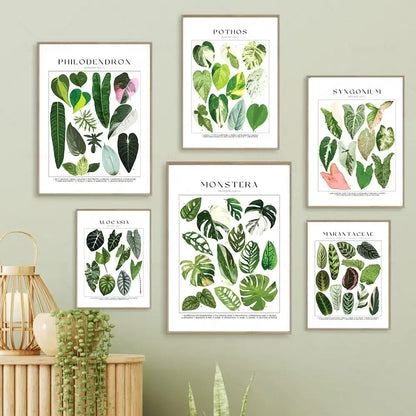 Botanical Specimen Posters Green Leaves Wall Art Canvas Prints For Kitchen Dining Room Living Room Decor