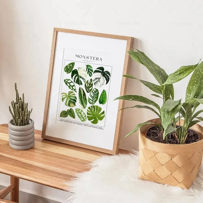 Botanical Specimen Posters Green Leaves Wall Art Canvas Prints For Kitchen Dining Room Living Room Decor