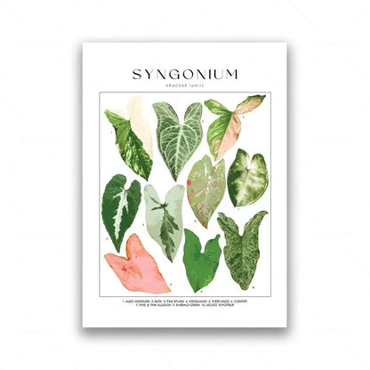 Botanical Specimen Posters Green Leaves Wall Art Canvas Prints For Kitchen Dining Room Living Room Decor