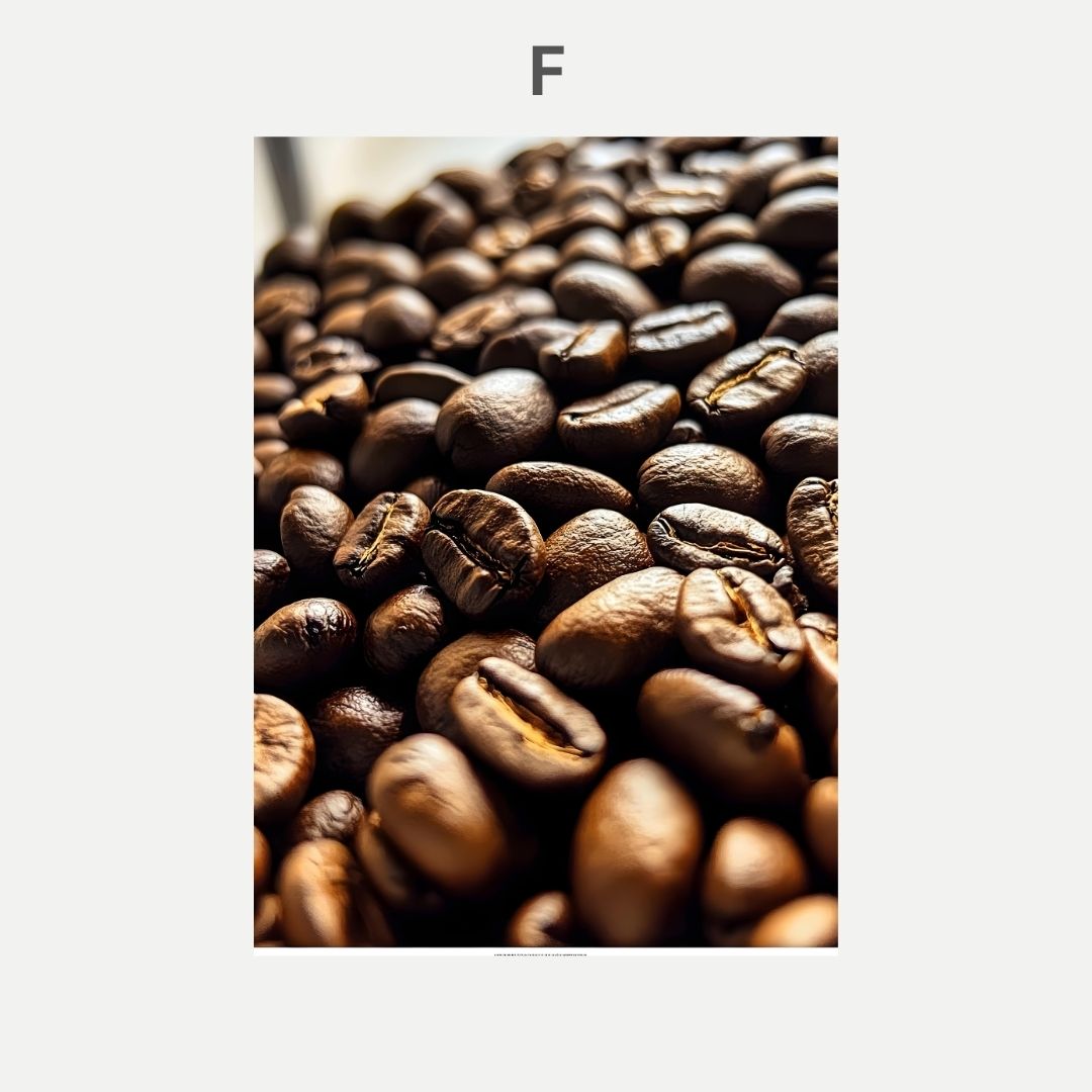 Close-up of roasted coffee beans with a blurred background
