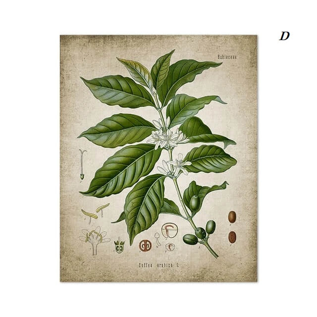 Coffee Making Vintage Canvas Print Coffee Bean Wall Art Minimalist Nordic Poster For Kitchen Dining Room Coffee Shop Décor