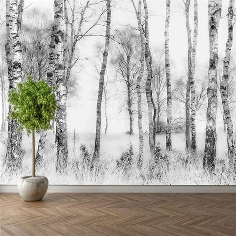 Birch Trees Mural Wallpaper (SqM)