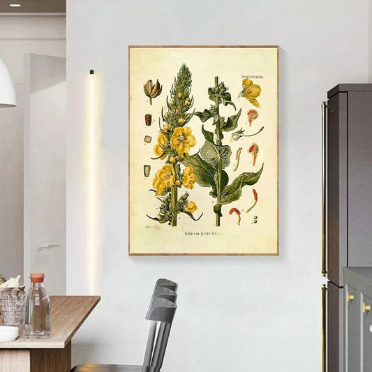 Field Plants Flower Anatomy Canvas Prints Botanical Wall Art Vintage Poster For Living Room Dining Room Décor