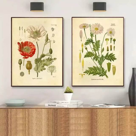 Field Plants Flower Anatomy Canvas Prints Botanical Wall Art Vintage Poster For Living Room Dining Room Décor