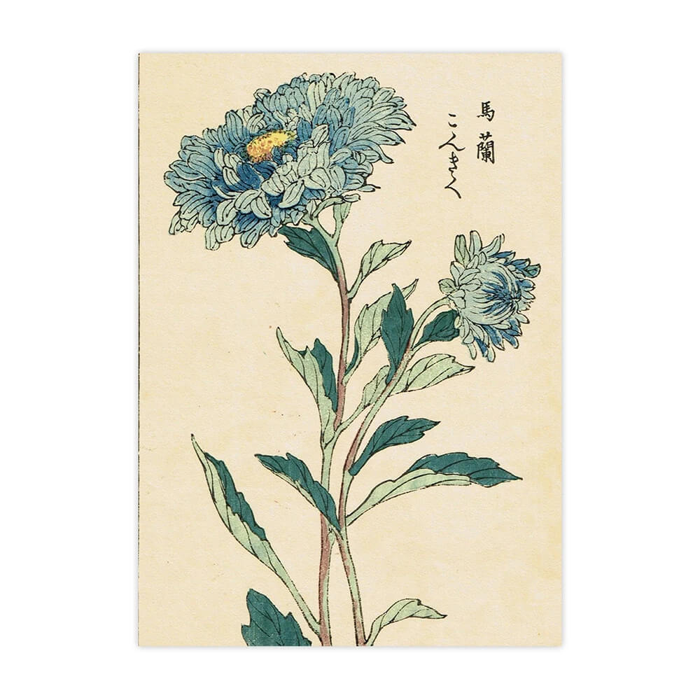 Japanese botanical illustration of a blue chrysanthemum with green leaves and a yellow center