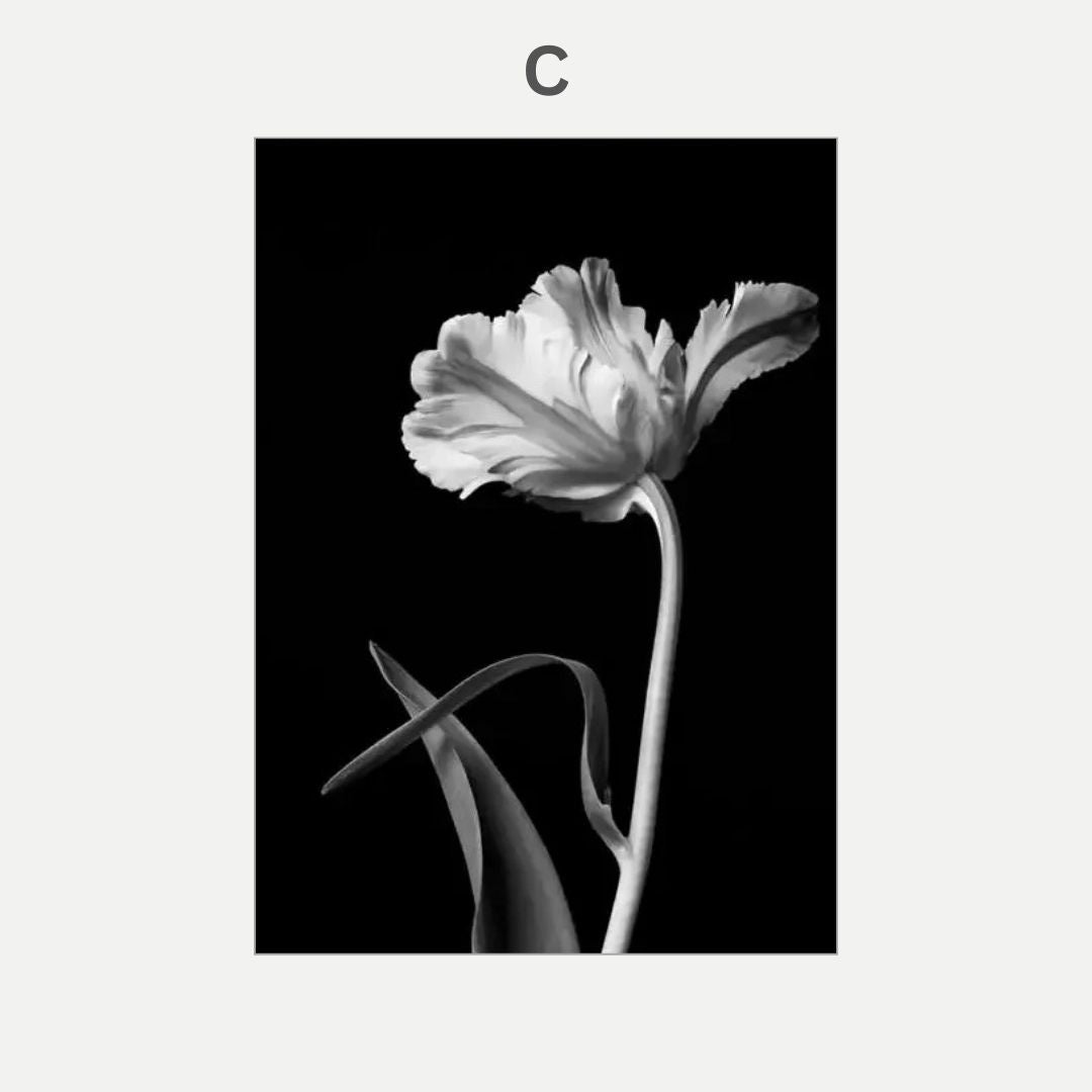 Black and white flower against a black background