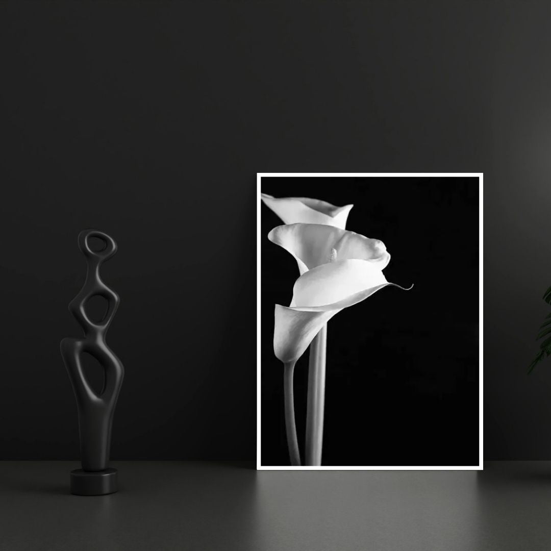 Modern Black and White Flower Minimalist Wall Art Canvas Print Botanical Poster for Living Room Bedroom Decor