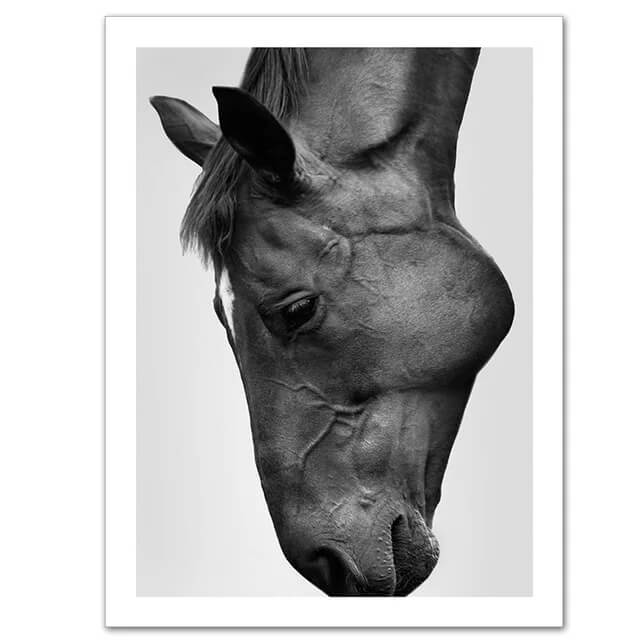 Modern Horse Canvas Print Black White Modern Wall Art Pictures For Living Room Bedroom Home Décor