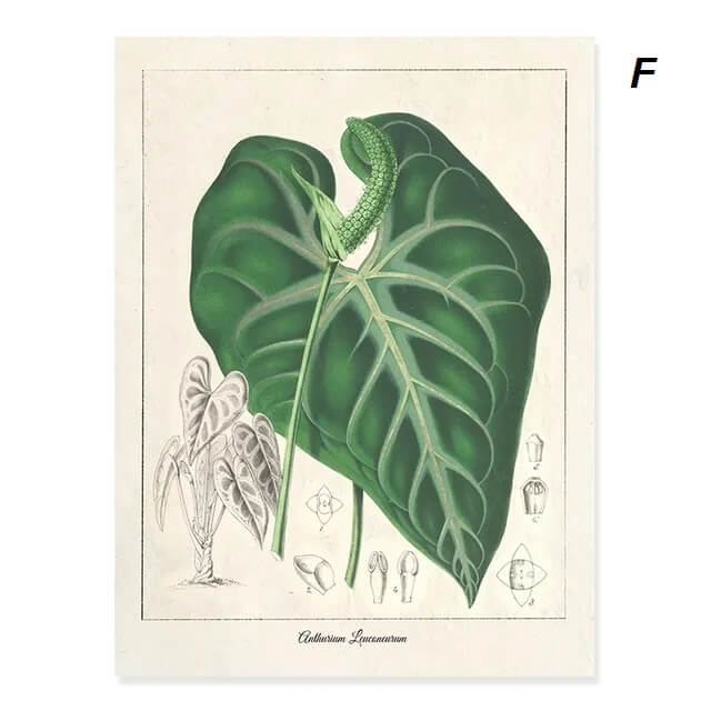 Modern Tropical Nordic Plants Leaves Wall Art Canvas Prints Botanical Nature Pictures Educative Posters For Kitchen Living Room Home Décor