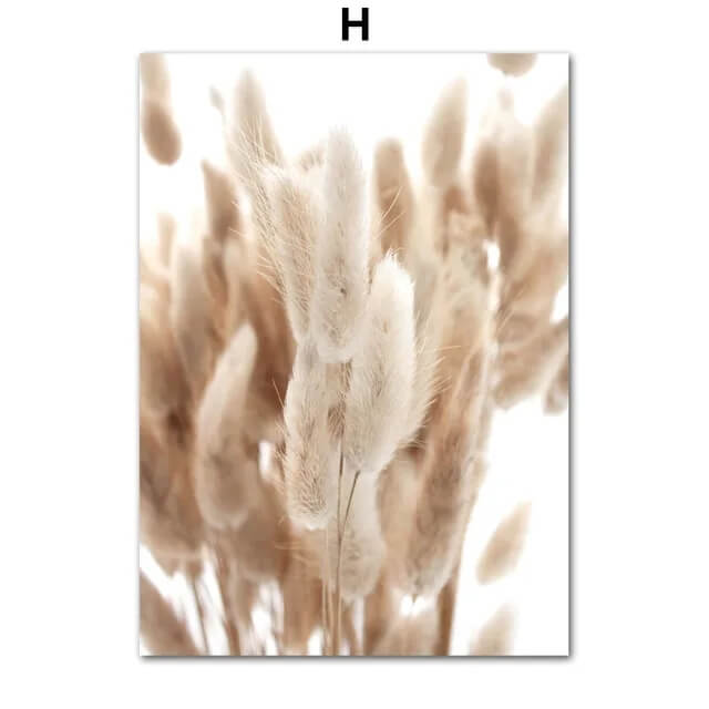 Pampas Grass Reed Dandelion Botanical Wall Art Pastel Canvas Prints Nordic Minimalist Posters Flowers Fine Art For Scandinavian Living Room Modern Bedroom Décor