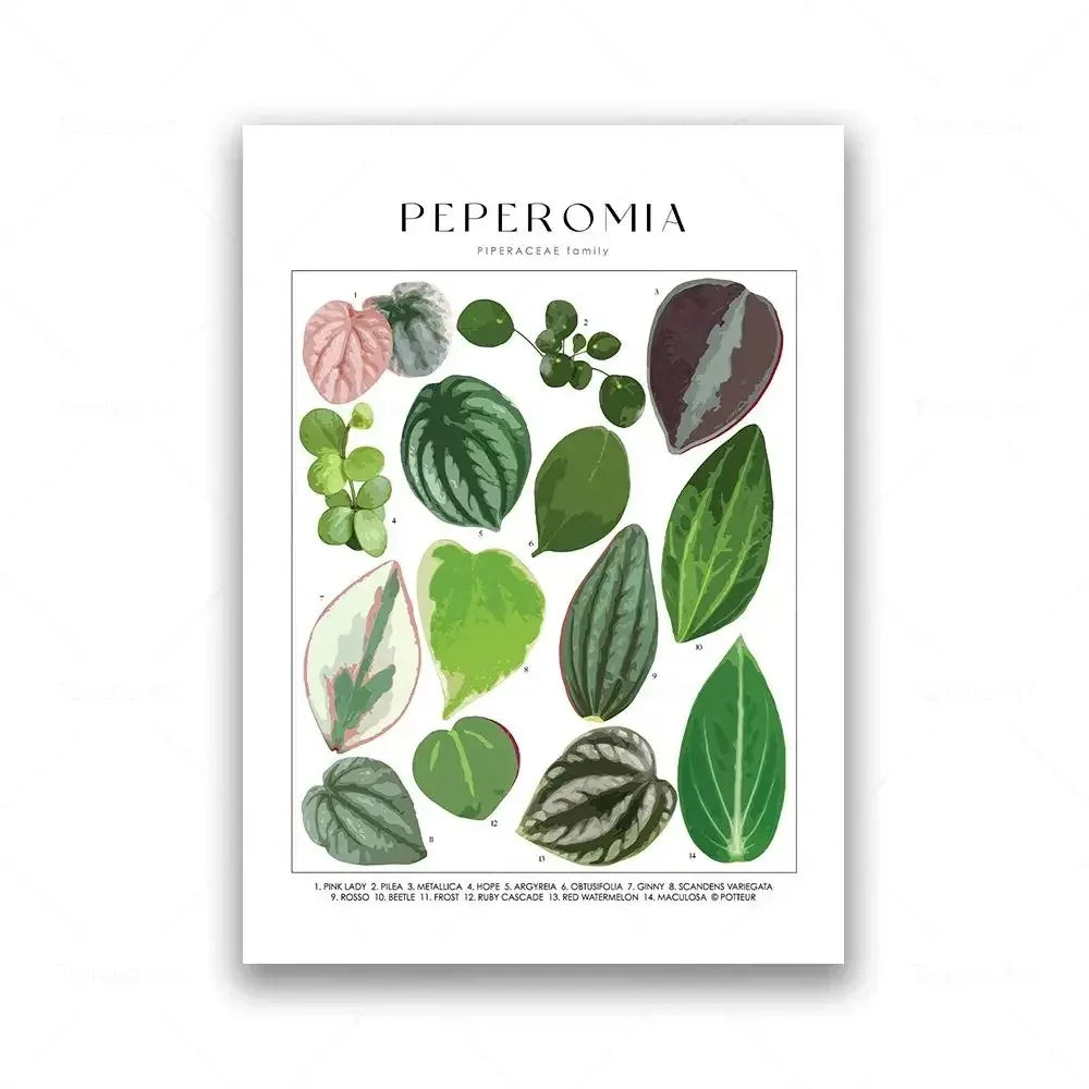 Botanical Specimen Posters Green Leaves Wall Art Canvas Prints For Kitchen Dining Room Living Room Decor