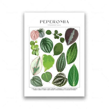 Botanical Specimen Posters Green Leaves Wall Art Canvas Prints For Kitchen Dining Room Living Room Decor