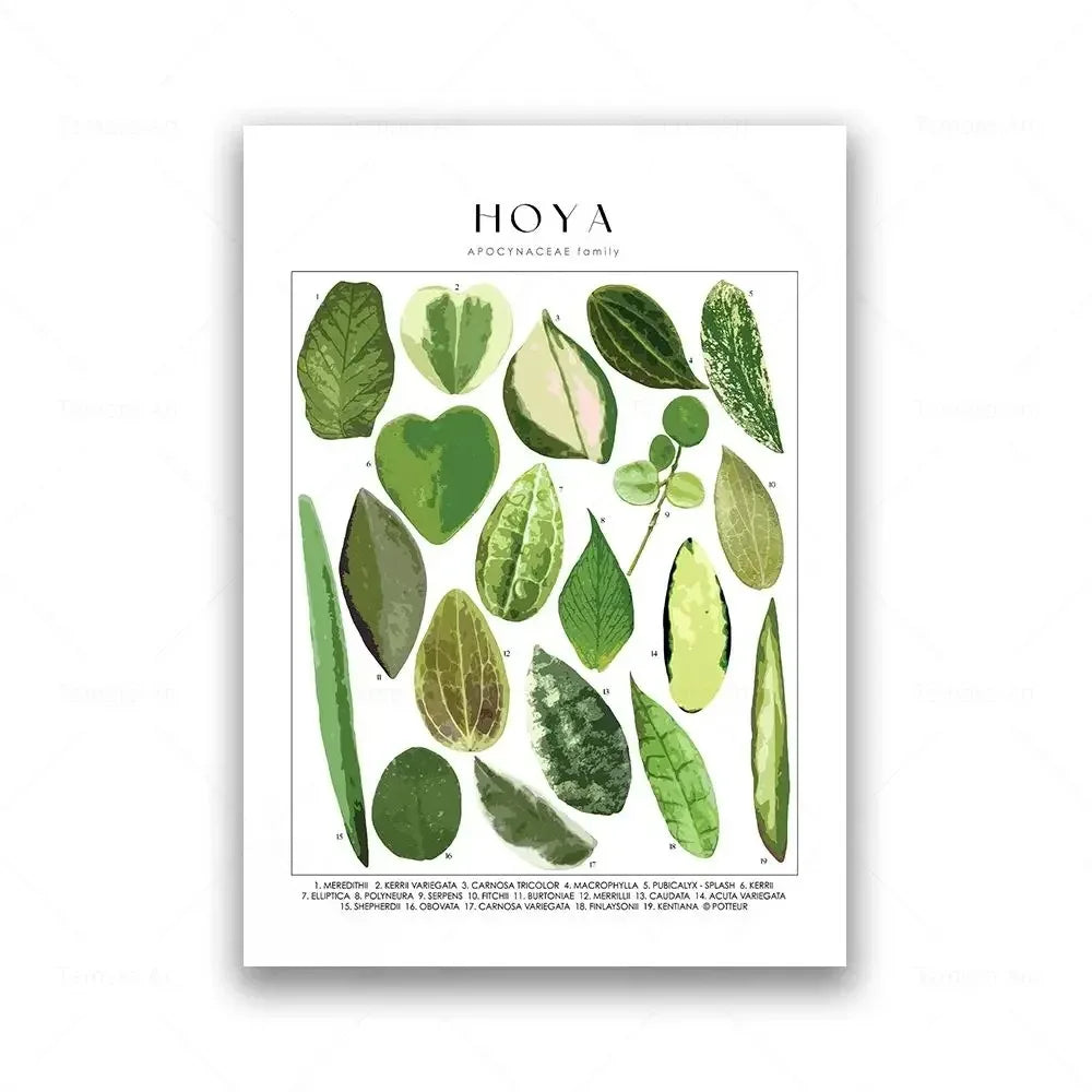 Botanical Specimen Posters Green Leaves Wall Art Canvas Prints For Kitchen Dining Room Living Room Decor