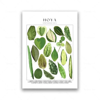 Botanical Specimen Posters Green Leaves Wall Art Canvas Prints For Kitchen Dining Room Living Room Decor