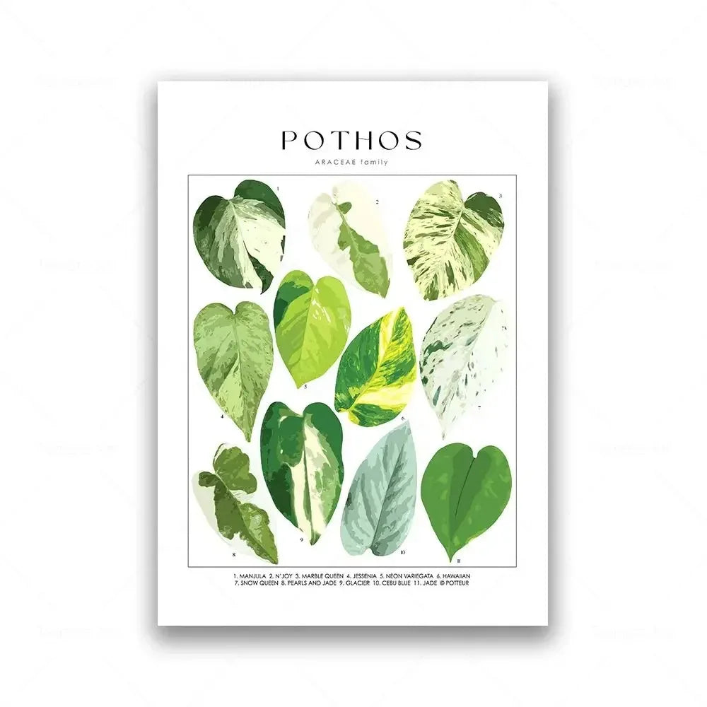 Botanical Specimen Posters Green Leaves Wall Art Canvas Prints For Kitchen Dining Room Living Room Decor