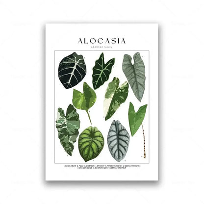 Botanical Specimen Posters Green Leaves Wall Art Canvas Prints For Kitchen Dining Room Living Room Decor