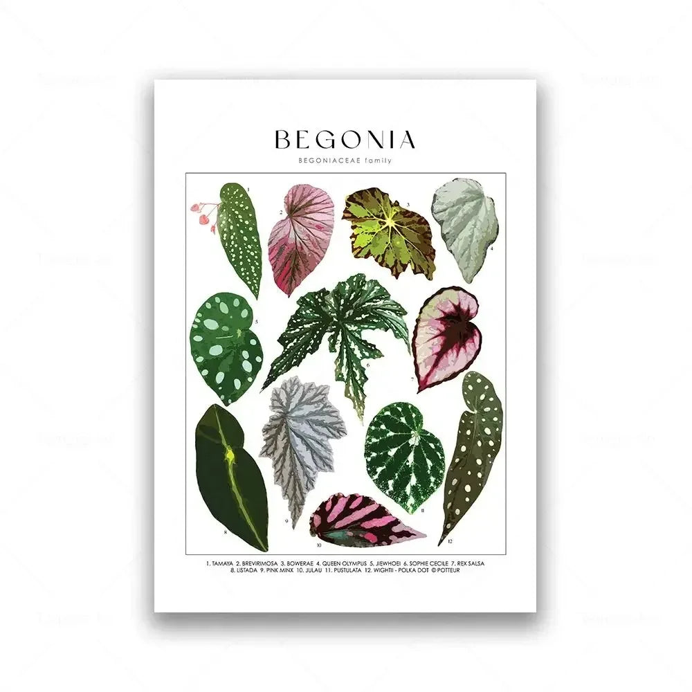 Botanical Specimen Posters Green Leaves Wall Art Canvas Prints For Kitchen Dining Room Living Room Decor