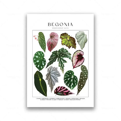Botanical Specimen Posters Green Leaves Wall Art Canvas Prints For Kitchen Dining Room Living Room Decor