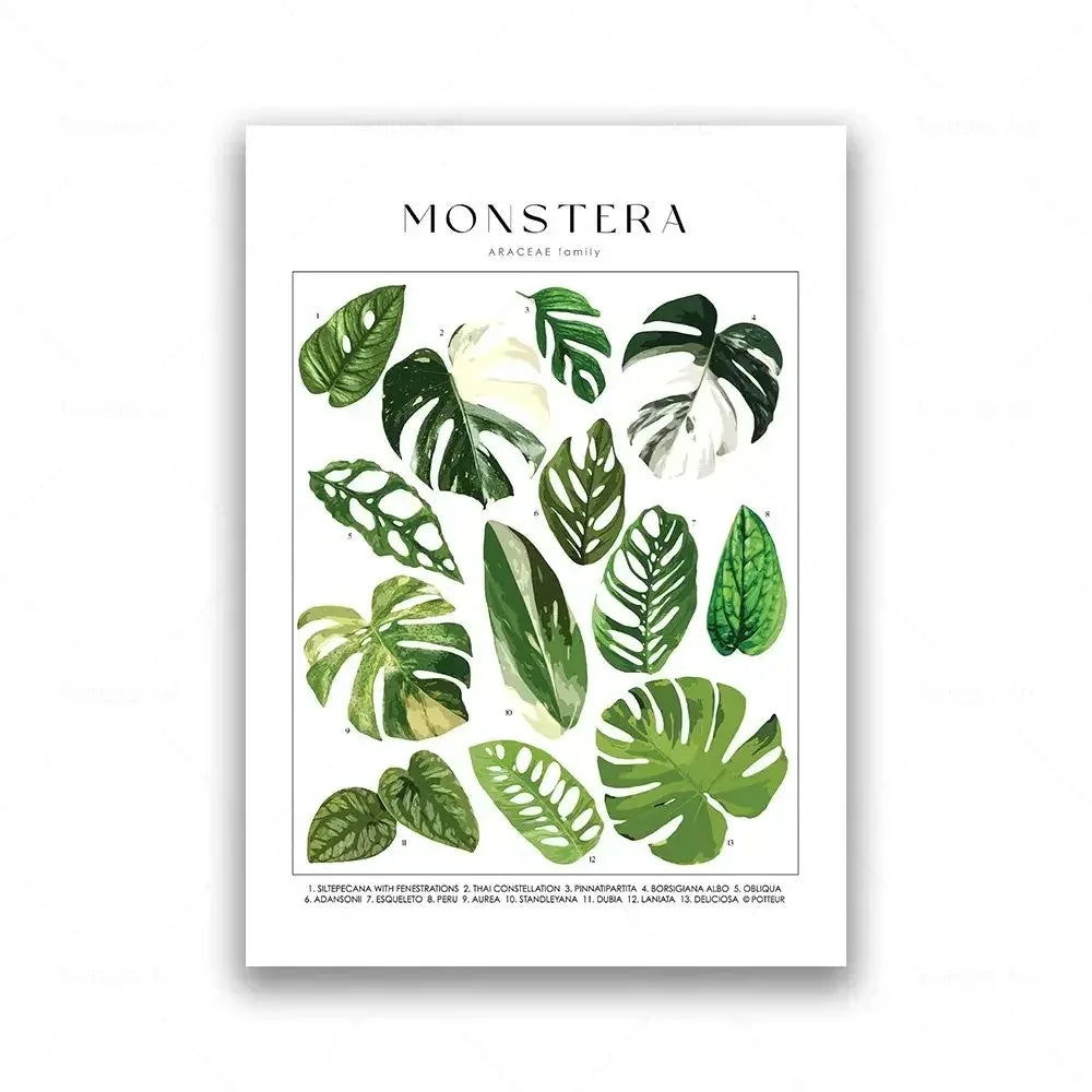 Botanical Specimen Posters Green Leaves Wall Art Canvas Prints For Kitchen Dining Room Living Room Decor