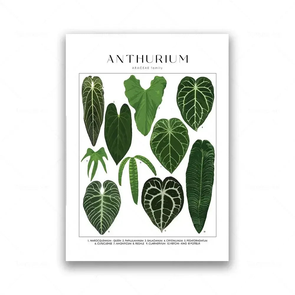 Botanical Specimen Posters Green Leaves Wall Art Canvas Prints For Kitchen Dining Room Living Room Decor