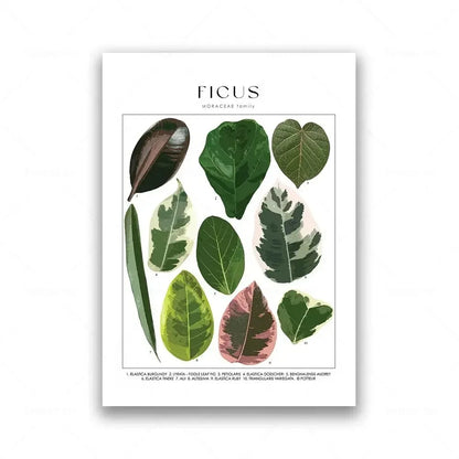 Botanical Specimen Posters Green Leaves Wall Art Canvas Prints For Kitchen Dining Room Living Room Decor