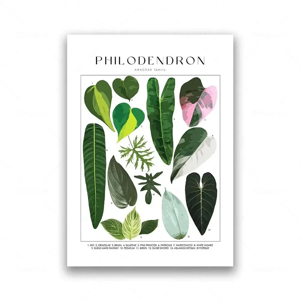 Botanical Specimen Posters Green Leaves Wall Art Canvas Prints For Kitchen Dining Room Living Room Decor