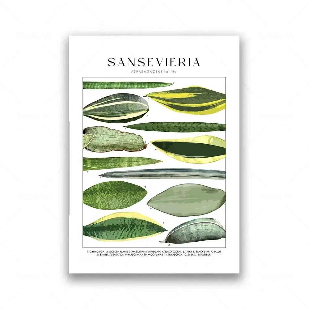 Botanical Specimen Posters Green Leaves Wall Art Canvas Prints For Kitchen Dining Room Living Room Decor
